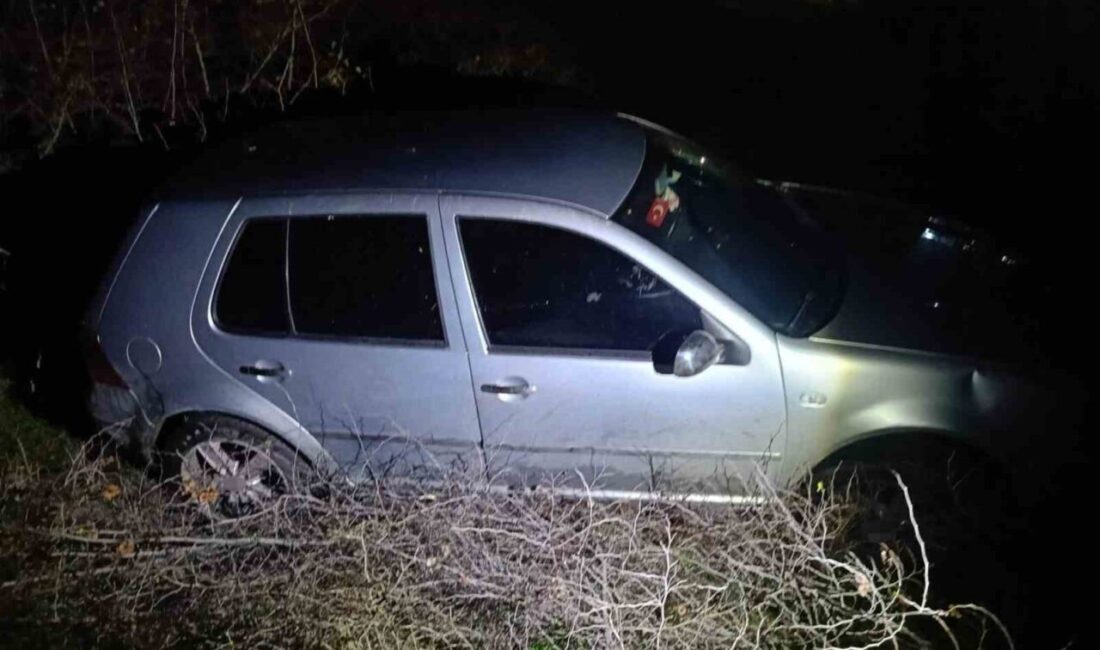 Balıkesir’in Susurluk ilçesinde meydana gelen trafik kazasında, bir otomobil şarampole