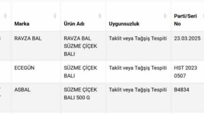 Ankara, Bursa ve Gümüşhane illerinde faaliyet gösteren şirketlere ait süzme