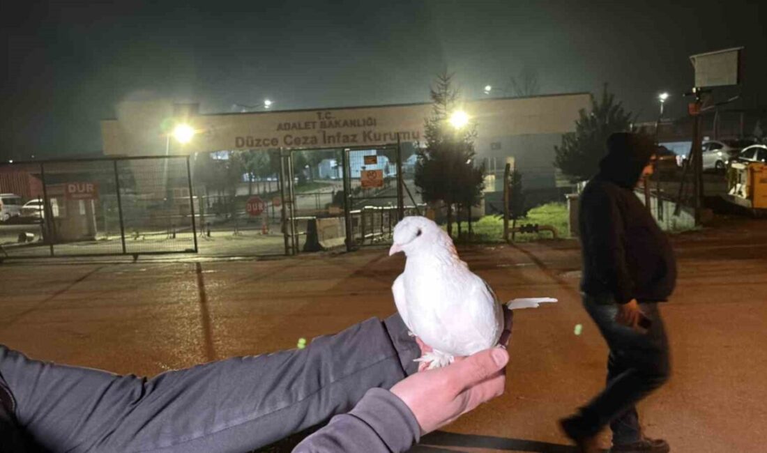 Düzce T Tipi Kapalı Ceza İnfaz Kurumu’nda toplamda 326 mahkum