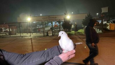 Düzce T Tipi Kapalı Ceza İnfaz Kurumu’nda toplamda 326 mahkum