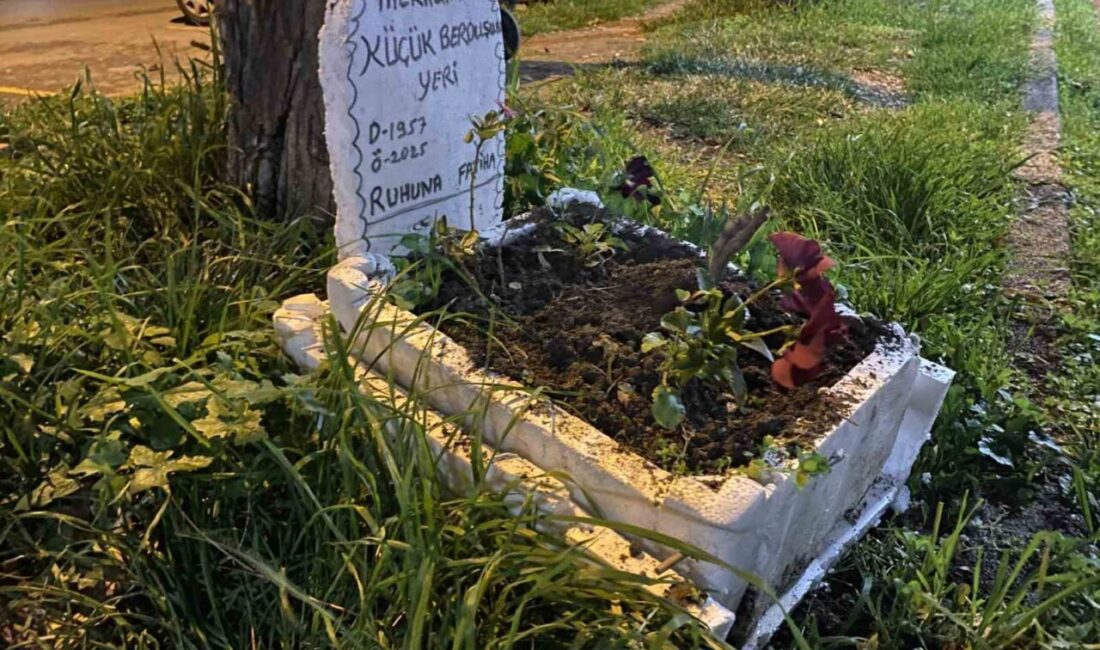 Mudanya ilçesindeki bir taksi durağında, “Berduş” adı verilen muhabbet kuşunun