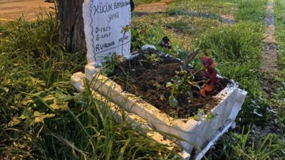 Mudanya ilçesindeki bir taksi durağında, “Berduş” adı verilen muhabbet kuşunun