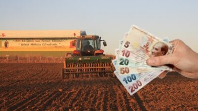 Yozgat İl Tarım ve Orman Müdürlüğü 2025 yılı Sertifikalı Tohum