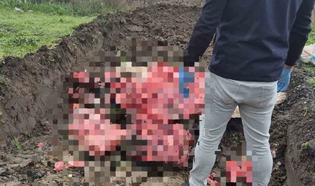 Ergene ilçesinde yapılan yol kontrolünde, belgesiz ve menşei belirsiz olan