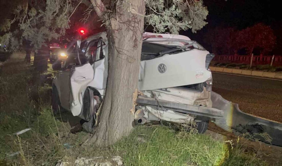Ergene ilçesinde meydana gelen trafik kazasında, bir aracın kontrolünden çıkarak