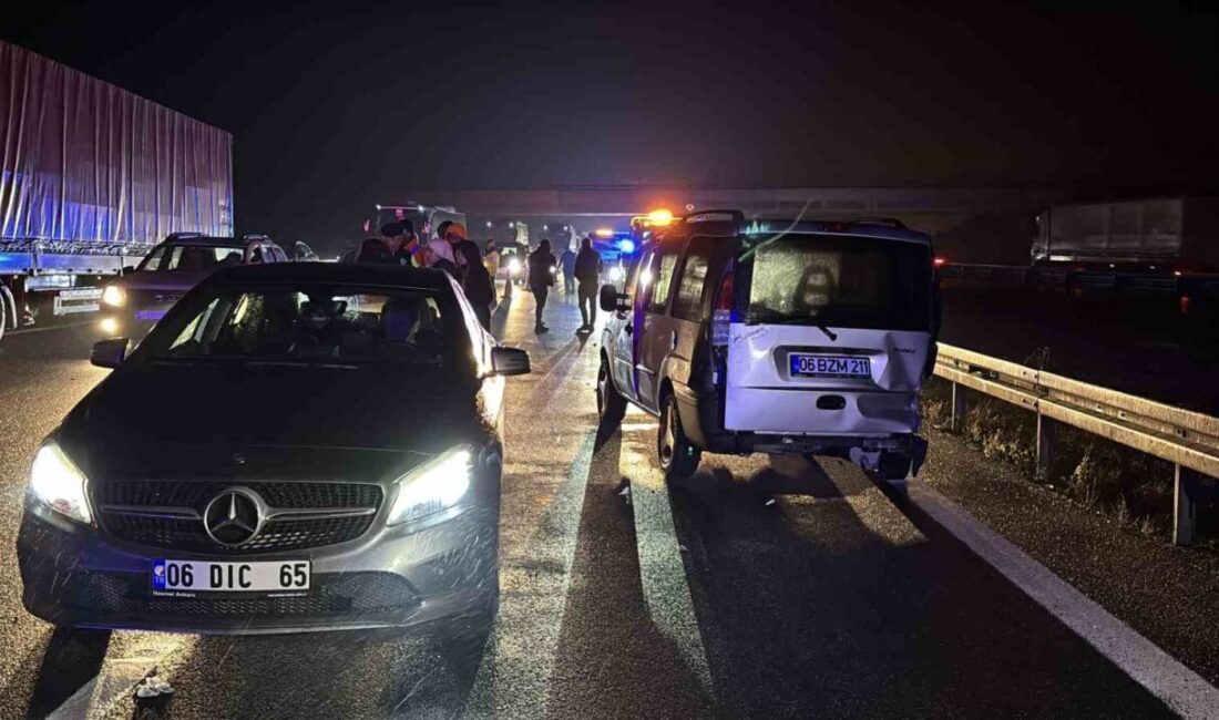 TEM Otoyolu’nda Bolu geçişinde meydana gelen zincirleme trafik kazasında 7