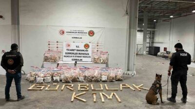 Ticaret Bakanlığı Gümrükler Muhafaza ekipleri, 394 kilogram metamfetamin ele geçirdi.
