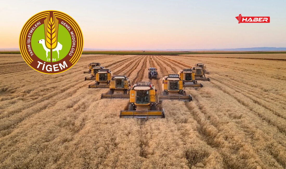 Tarım İşletmeleri Genel Müdürlüğü (TİGEM), 2026 yılı için KPSS şartı