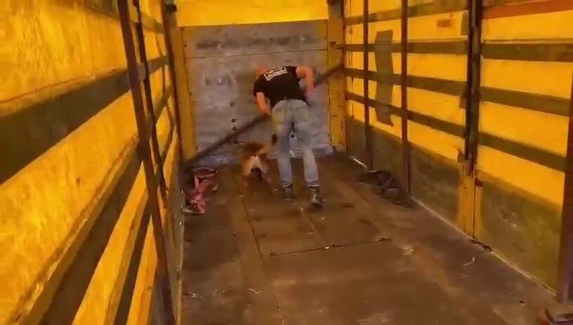 Hatay üzerinde gerçekleşen bir olayda, polis ekipleri tarafından durdurulan bir