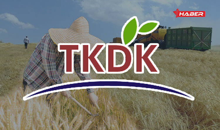 Tarım ve Kırsal Kalkınmayı Destekleme Kurumu (TKDK), merkez ve taşra