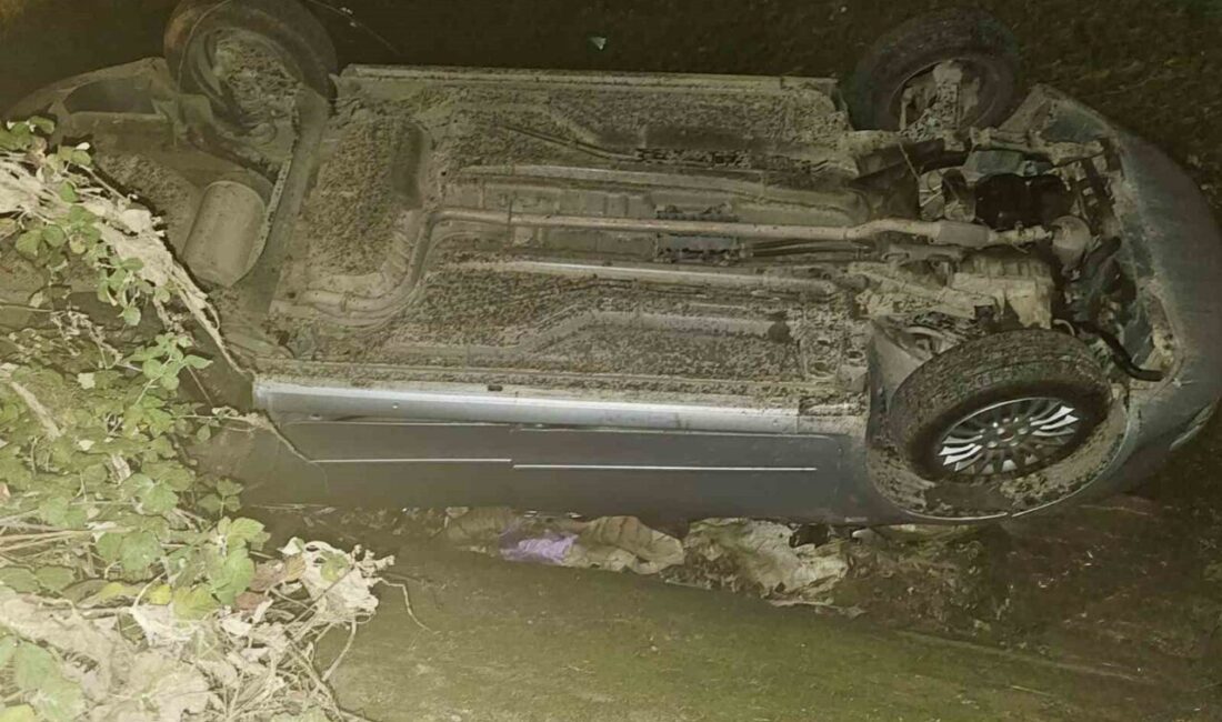 Tokat ilinde meydana gelen bir kaza sonucunda bir kişi yaralandı.