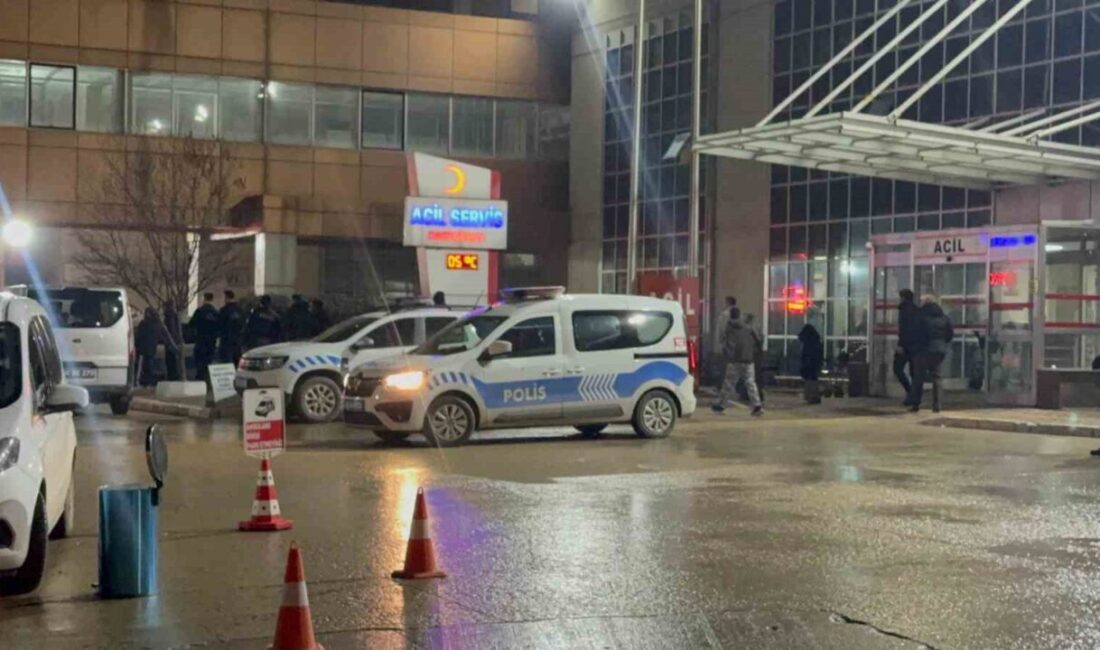 Tokat’ta, Kemalpaşa köyünde yaşanan bir silahlı kavgada, 2 kişi öldü