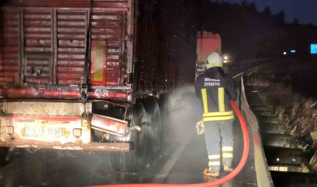 Muğla çevre yolunda seyir halinde bulunan tomruk yüklü bir TIR,