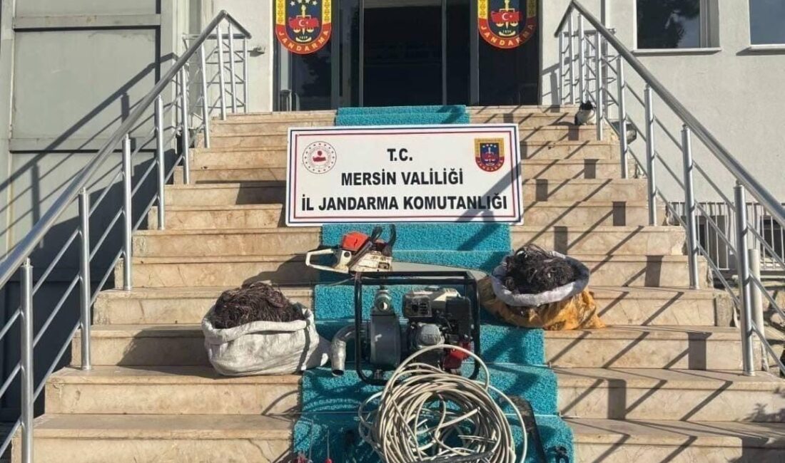 Mersin’de, Gülnar ve Aydıncık ilçelerinde birçok farklı noktadaki trafo hırsızlıklarının