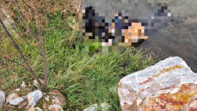 Balıkesir’in Dursunbey ilçesinde, geçmesi yasak olan bir tren köprüsünden yürüyen