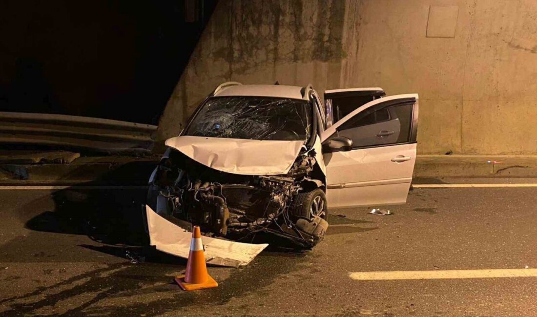 Zonguldak’ın Alaplı ilçesinde Kavukkavla mevkii tüneli girişinde gece meydana gelen