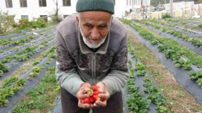 Isparta’nın Sav beldesinde, halk arasında “Hayır Bahçesi” olarak bilinen alanda,