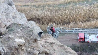 Çorum’un Sungurlu ilçesinde yaşanan olayda, uçurumda mahsur kalan keçiler, Sungurlu