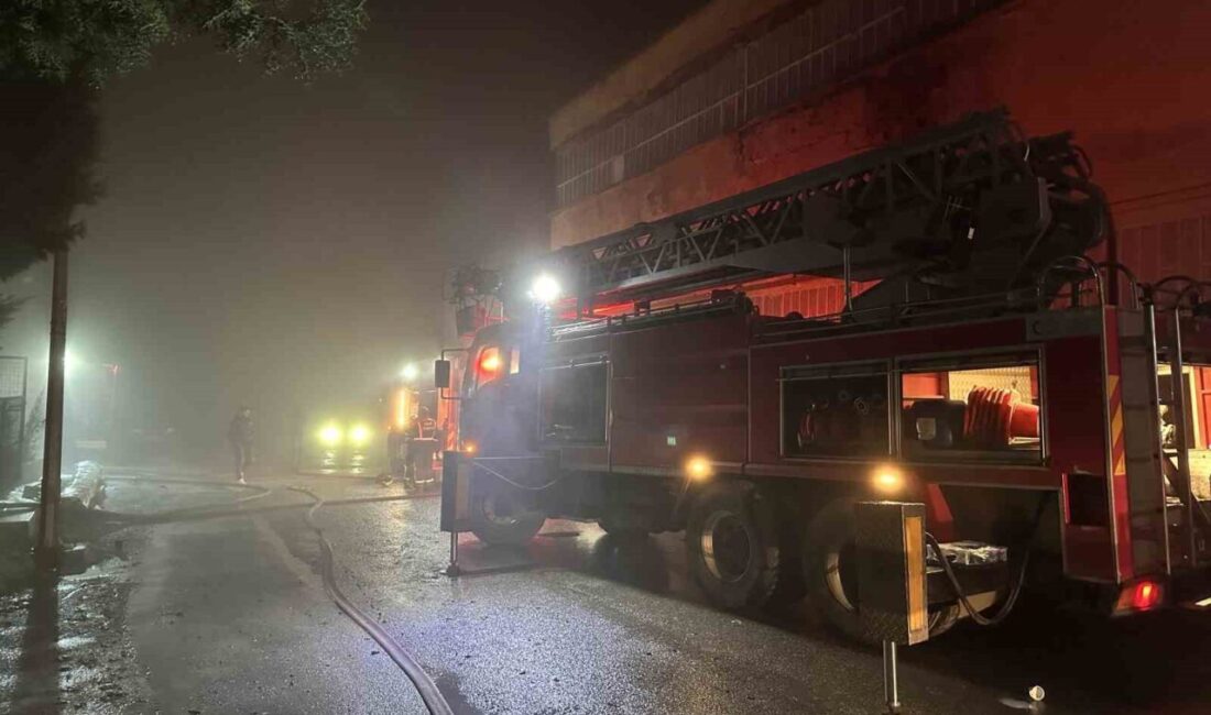 Uşak’ta Fevzi Çakmak Mahallesi Sekizinci Çanlı Sokak’ta bulunan bir poşet