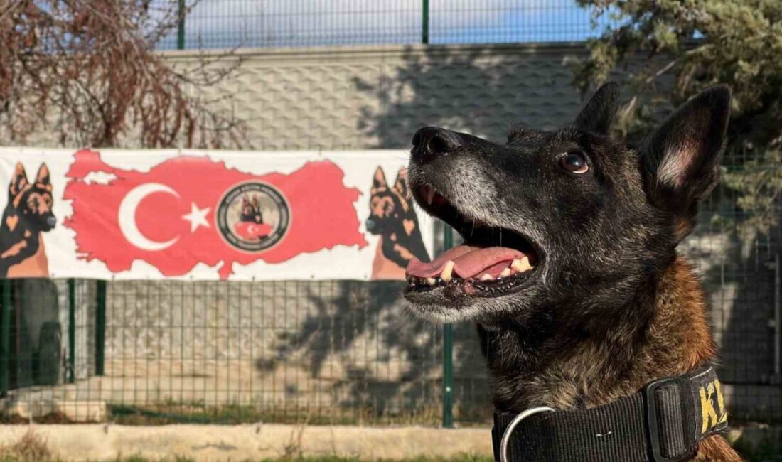 Konya İl Emniyet Müdürlüğü Narkotik Şube Müdürlüğü Köpek Eğitim Merkezi’nde