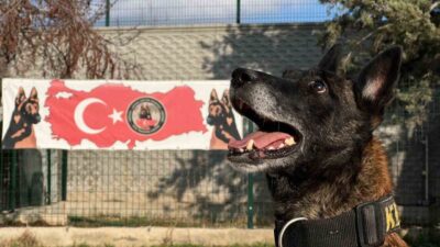 Konya İl Emniyet Müdürlüğü Narkotik Şube Müdürlüğü Köpek Eğitim Merkezi’nde