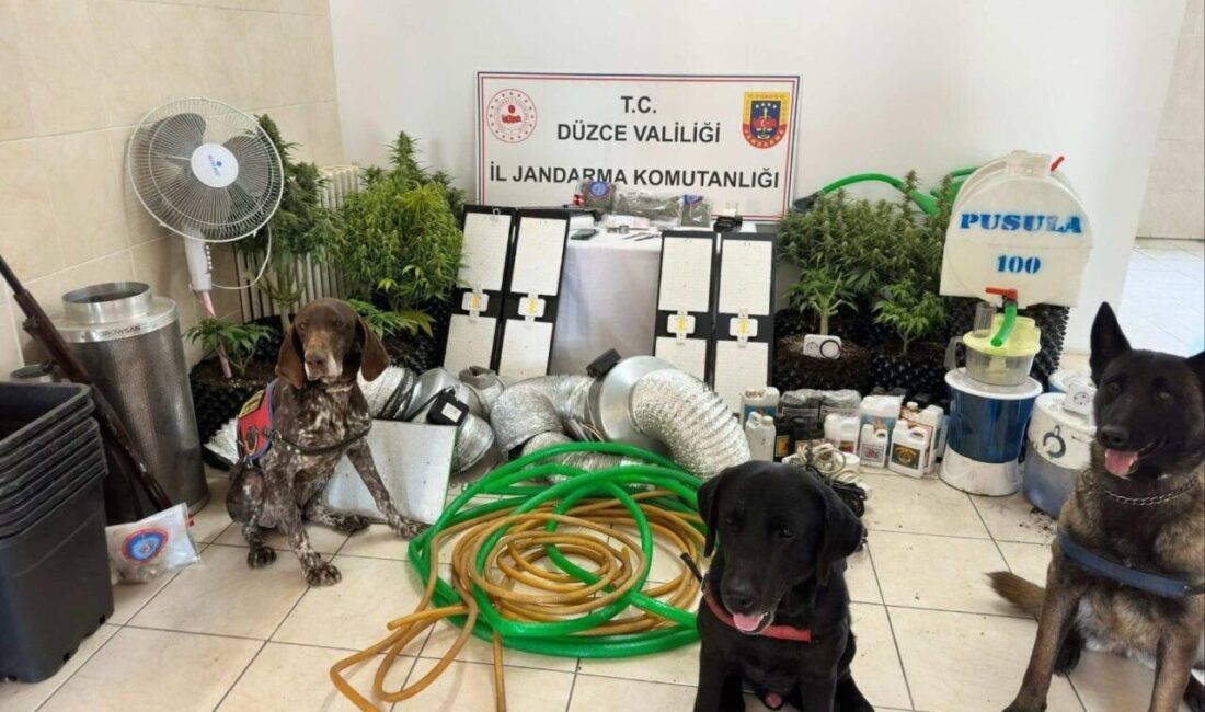 Düzce ilinin jandarma birimleri tarafından uyuşturucu ticareti yaptığı belirlenen bir