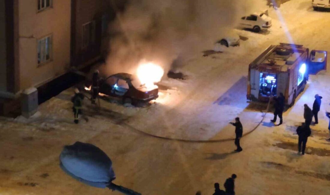Van’ın İpekyolu ilçesinde, Halilağa Mahallesi’nde park halinde olan 41 AZP