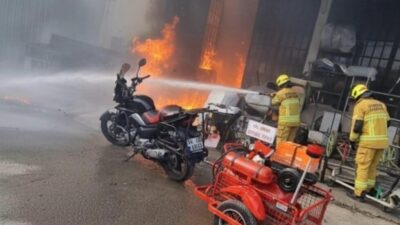 Kocaeli’de yaşayan Kuddusi Kuranel, ormanlık alanlarda ve dar bölgelerde çıkan