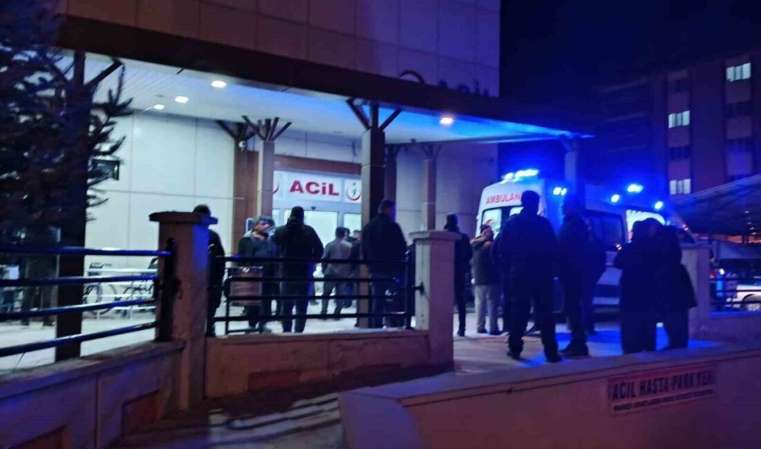 Isparta’nın Şarkikaraağaç ilçesine bağlı Salur köyünde bir kişi, saman balyalarının