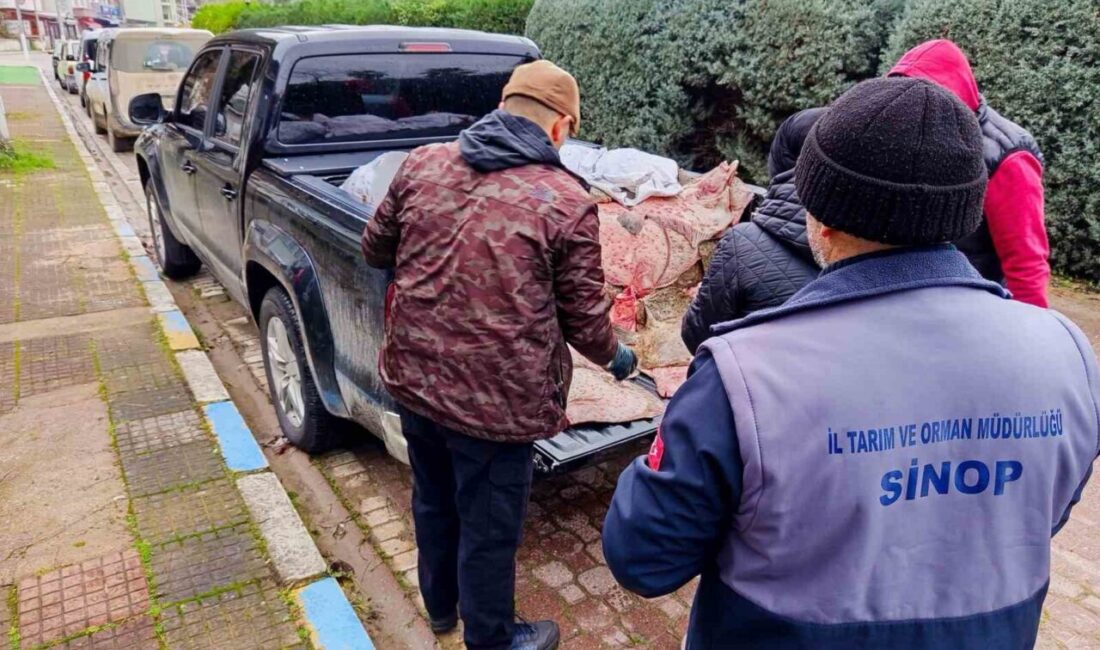 Ayancık ilçesinde yasa dışı avlanma tespit edilen 625 adet kalkan