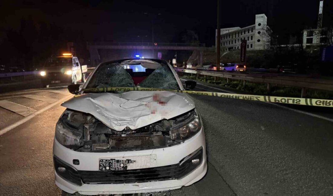 Arifiye ilçesinde, D-100 kara yolunda dramatik bir kaza meydana geldi.