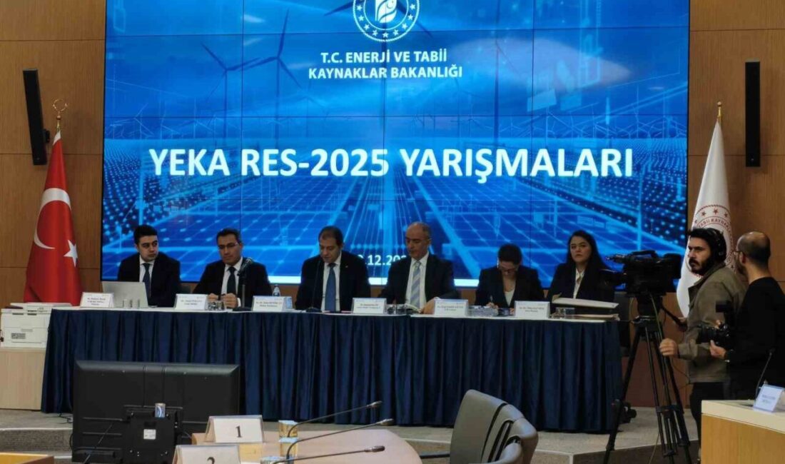 YEKA Rüzgar Enerji Santrali (RES)-2025 Yarışmaları, 30 şirketten toplam 75