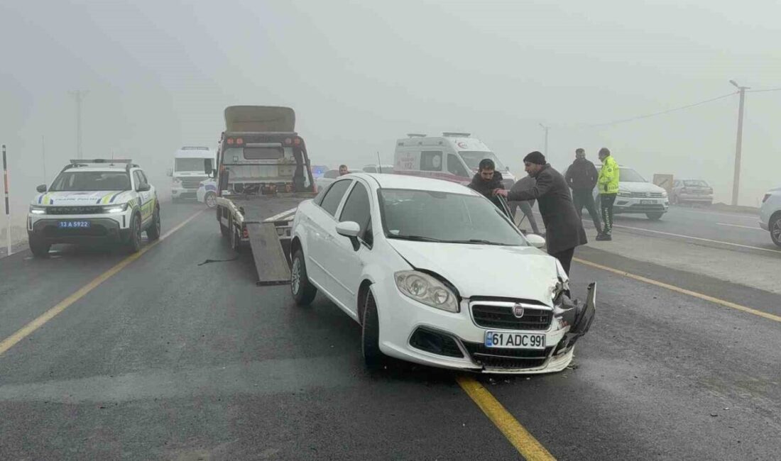 Bitlis-Tatvan yolu üzerindeki Rahva mevkiinde görülen yoğun sis nedeniyle dört