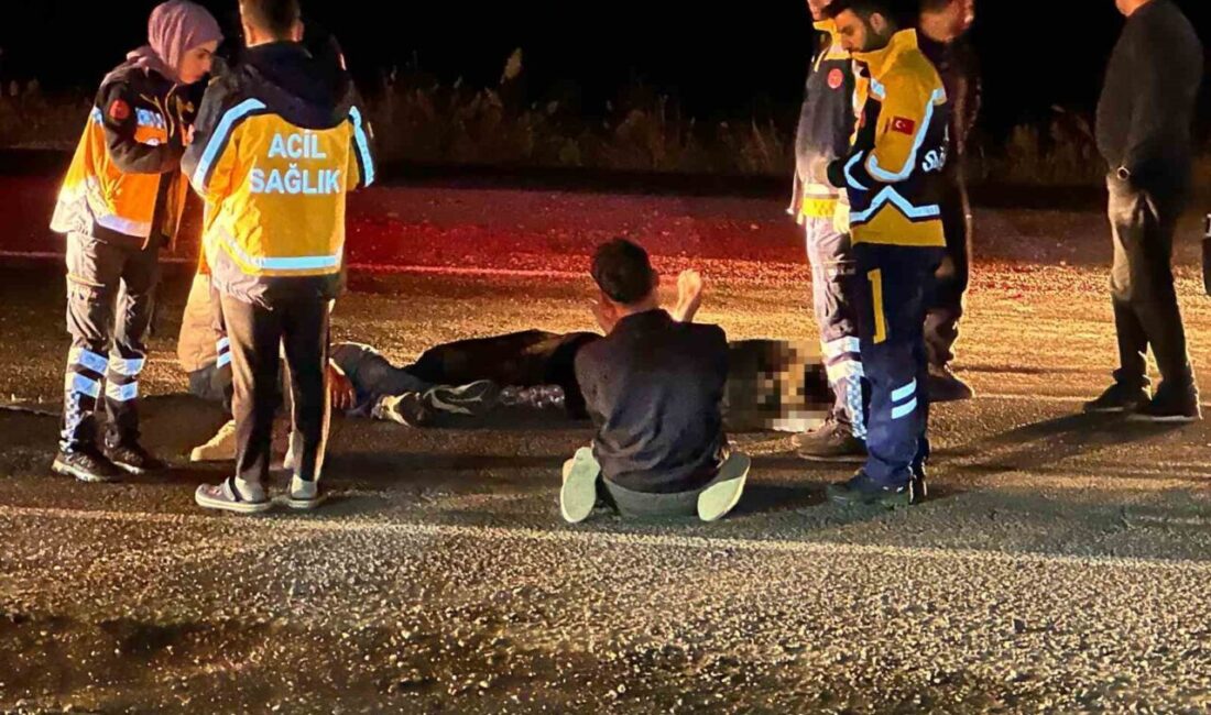 Çınar ilçesinde bir yaşlı adam, Beşpınar Mahallesi’nde otomobilin çarpması sonucu