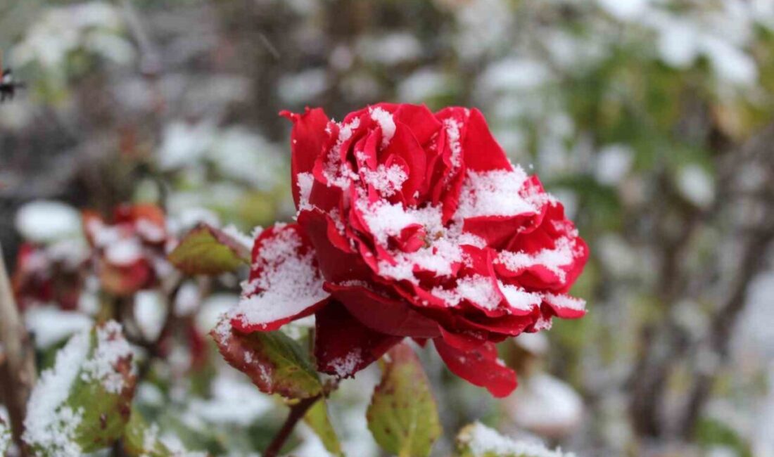 Yozgat şehrinde bugün sabah saatlerinde başlayan ve zaman zaman devam