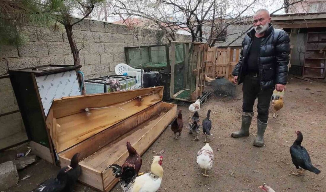 İstanbul’dan memleketi Yozgat’ın Şefaatli ilçesine dönen Hasan Şahan, kanatlı hayvan