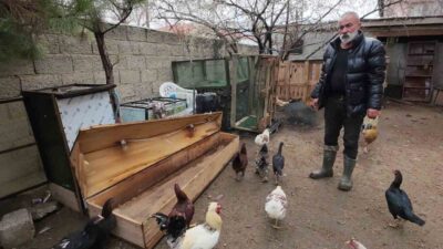 İstanbul’dan memleketi Yozgat’ın Şefaatli ilçesine dönen Hasan Şahan, kanatlı hayvan