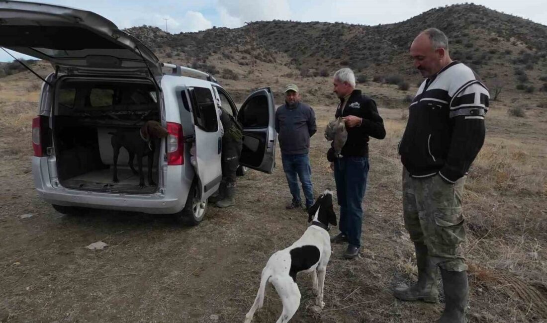 Yozgat’ta, Yerköy ile Şefaatli ilçeleri arasında bulunan Karanlıkdere Vadisi’ne gelen