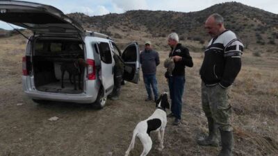 Yozgat’ta, Yerköy ile Şefaatli ilçeleri arasında bulunan Karanlıkdere Vadisi’ne gelen