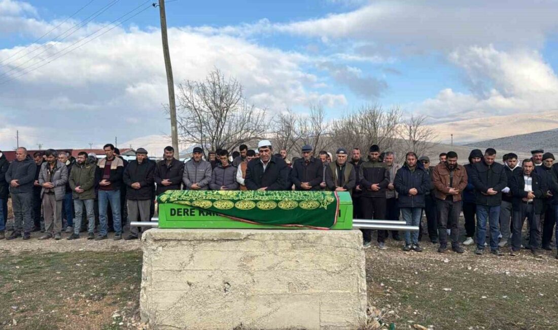 Afyonkarahisar’ın Bolvadin ilçesine bağlı Derekarabağ köyünde yaşanan olayda, 41 yaşındaki