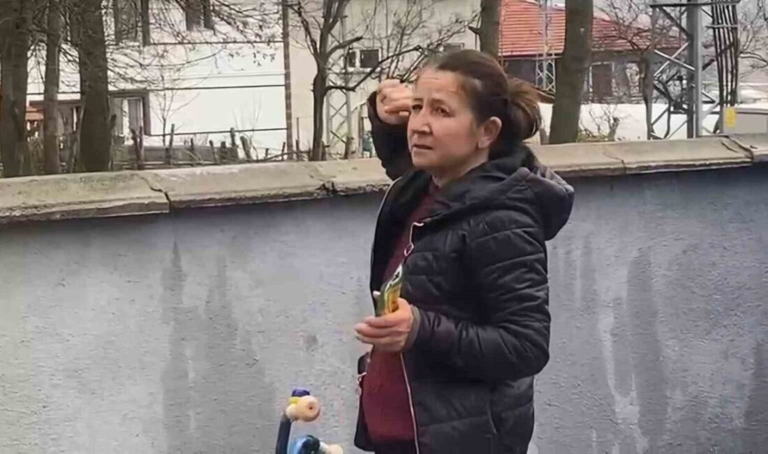 Bartın merkeze bağlı Gecen köyünde, ağaçta sıkışıp kalan bir yavru