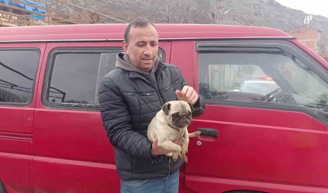 Amasya’da bir iş yerinde meydana gelen yangında, mahsur kalan bir