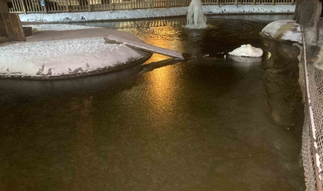Ankara, kar yağışının ardından rekor düşük sıcaklıklara sahne oldu. Başkentin