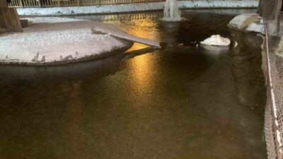 Ankara, kar yağışının ardından rekor düşük sıcaklıklara sahne oldu. Başkentin