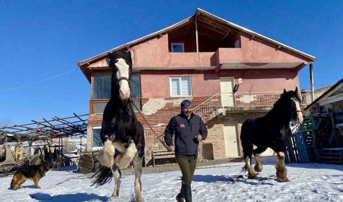 Ankara’nın Çubuk ilçesinde yaşayan Özgür Peştanlı, doğayla iç içe bir