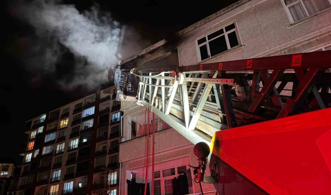 Artvin’in Hopa ilçesinde bir apartman dairesinde gece meydana gelen yangın,