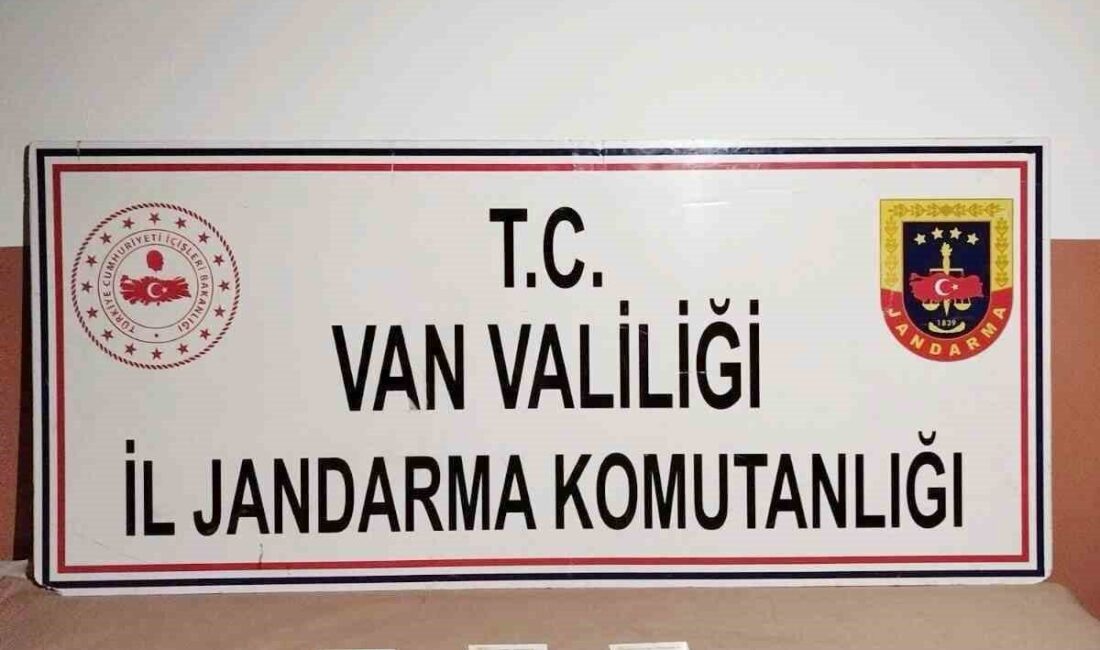 Van’ın Başkale ilçesindeki jandarma operasyonunda 280 adet sentetik uyuşturucu hap