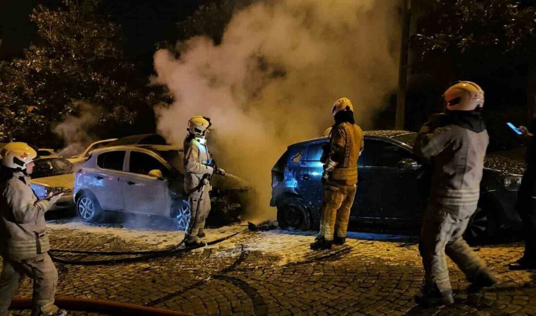 Beşiktaş’ta meydana gelen bir araç yangını, park halindeki üç araca