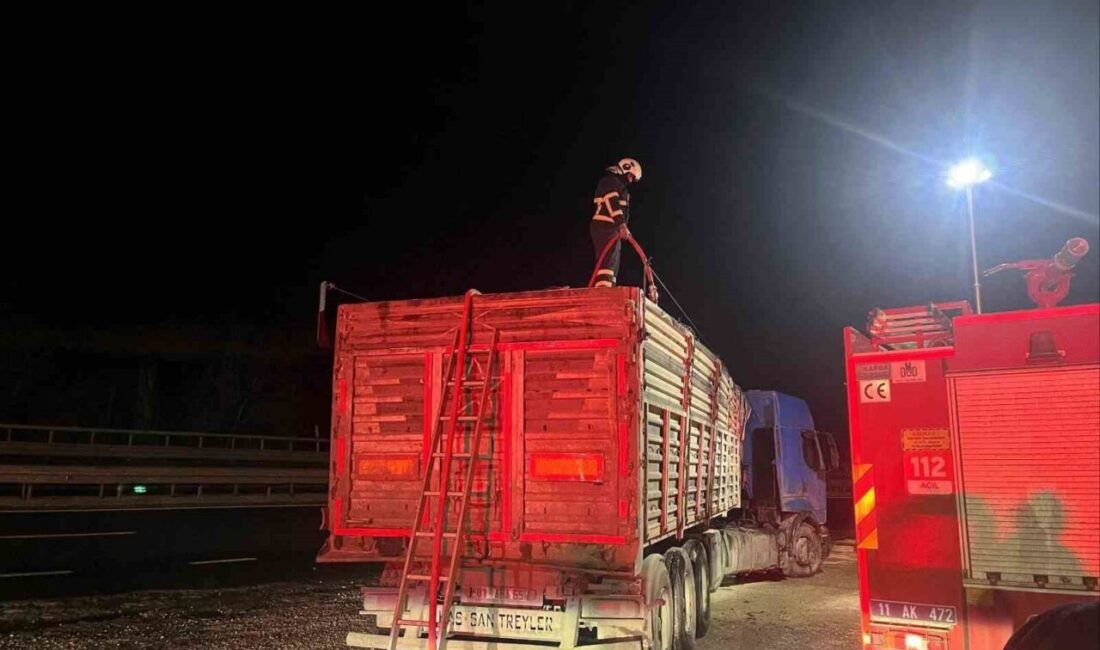 Bilecik’te seyir halindeki bir tır dorsesi, içinde talaş yüklüyken alev