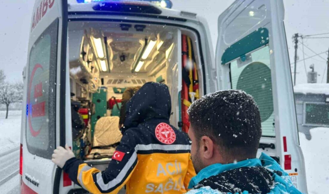Bingöl ilinde kar ve tipi nedeniyle hastaneye ulaşamayan bir diyaliz